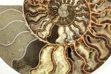 Cut & Polished Ammonite Fossil (Half) - Madagascar #207440-1